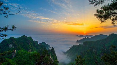 張家界森林公園（金鞭溪、袁家界、楊家界、天子山、十里畫廊）住山上2天1游（可看日出）